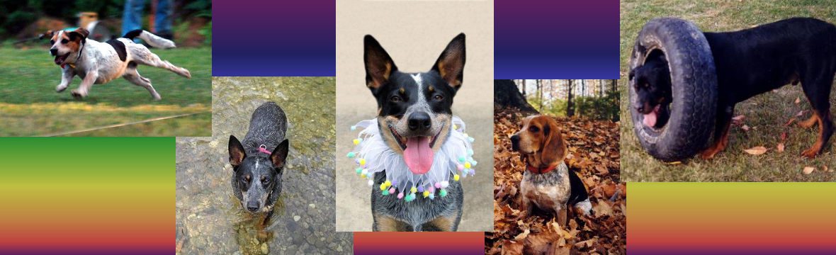 Waiting At The Bridge