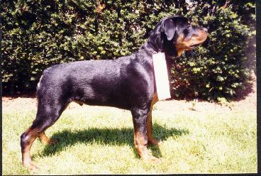 hunter_5_mo_with_ribbon